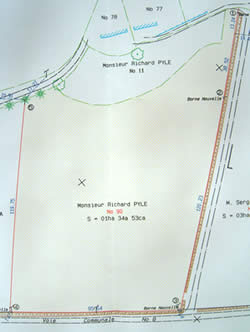 The Truffière Plot