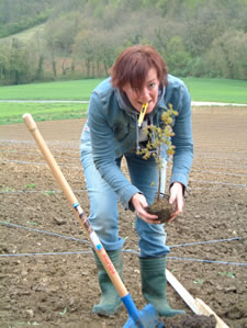 Hannah Planting one of the first Oaks